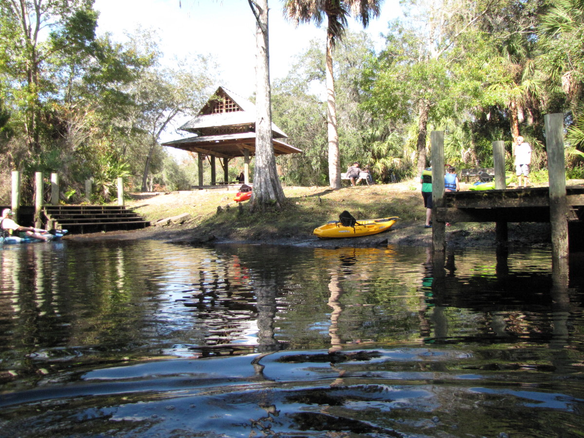 Kayaking the Cotee River in New Port Richey, Florida - SkyAboveUs