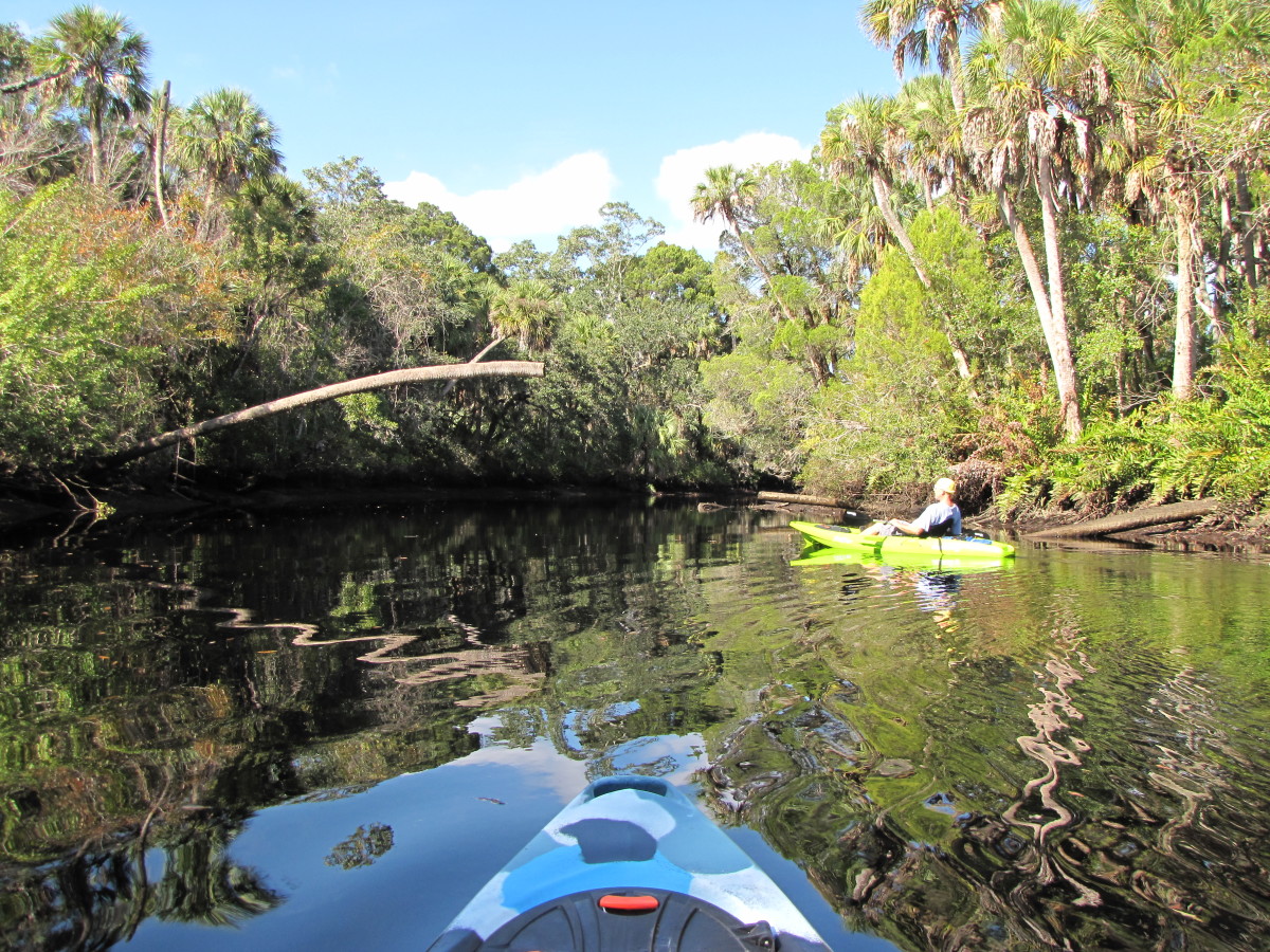 kayaking-the-cotee-river-in-the-james-e-grey-preserve