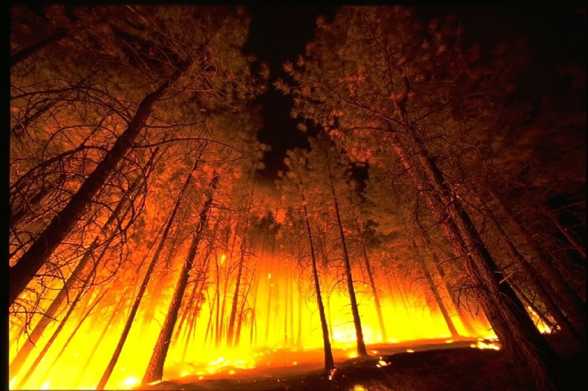 preparing-for-wildfires-and-other-natural-disasters