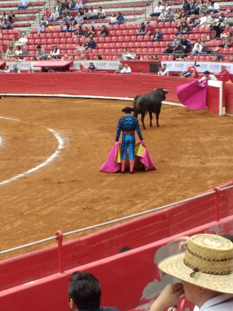 Mexico City hosts the biggest bullring in the world..The Plaza de Toros México holds up to 41,262 people and has also hosted a number of boxing bouts over the years.