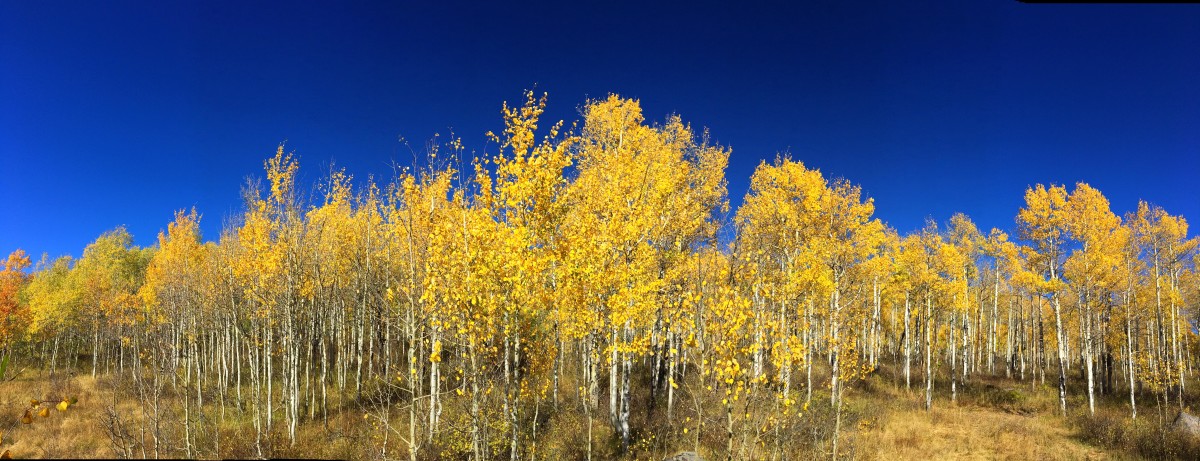 Fall in Utah - HubPages