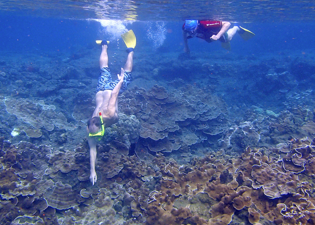 Hawaii Snorkeling Anyone? A Guide to Your Safe and Fun Underwater Adventure SkyAboveUs