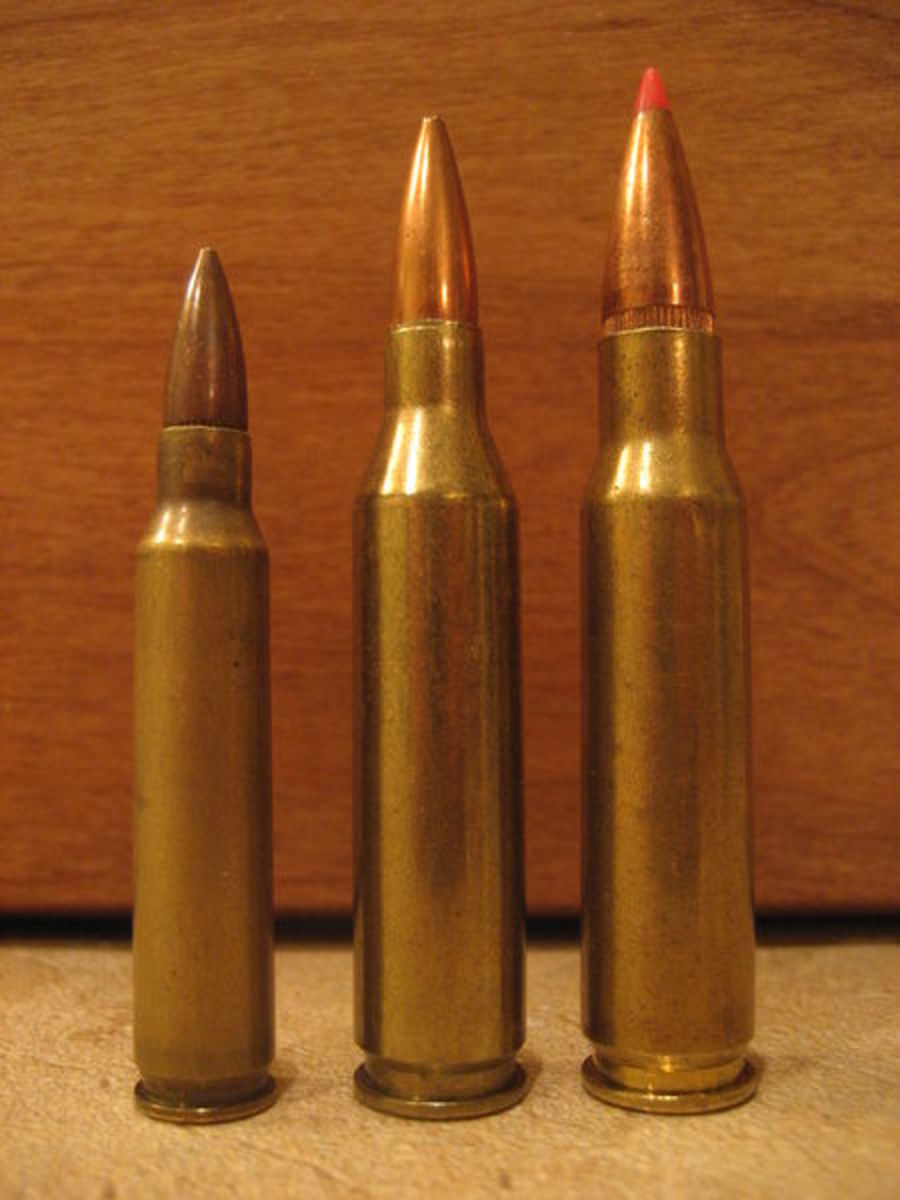 (L-R): .223 Remington, .243 Winchester, .308 Winchester