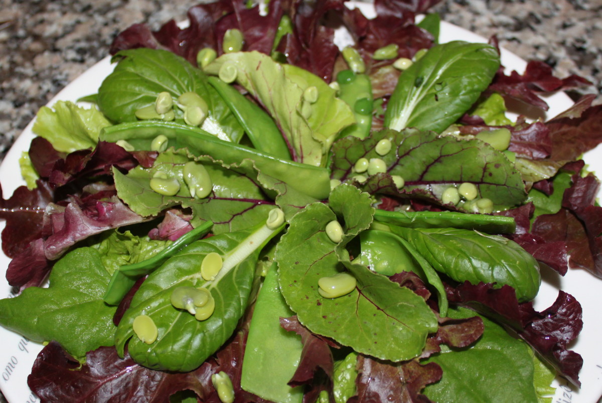 Mixed Leaf Salad