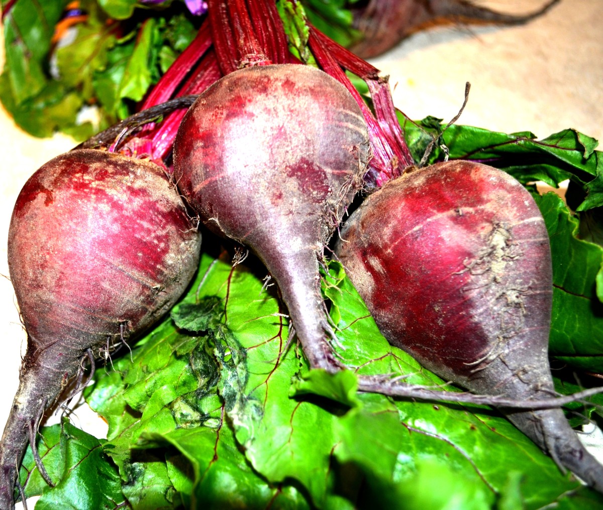 Why Beets Are Super Healthy and a Wonder Food CalorieBee Diet