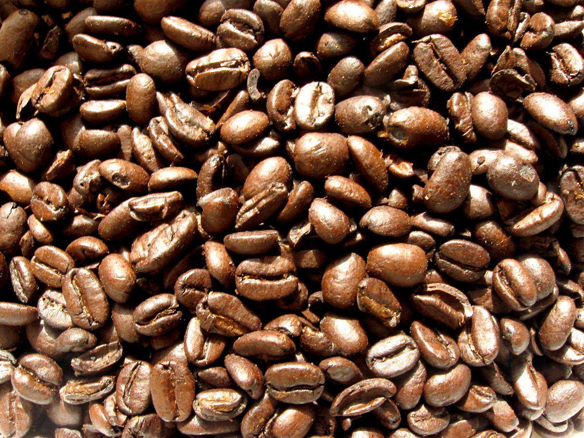 Roasted coffee beans offer hope for health.
