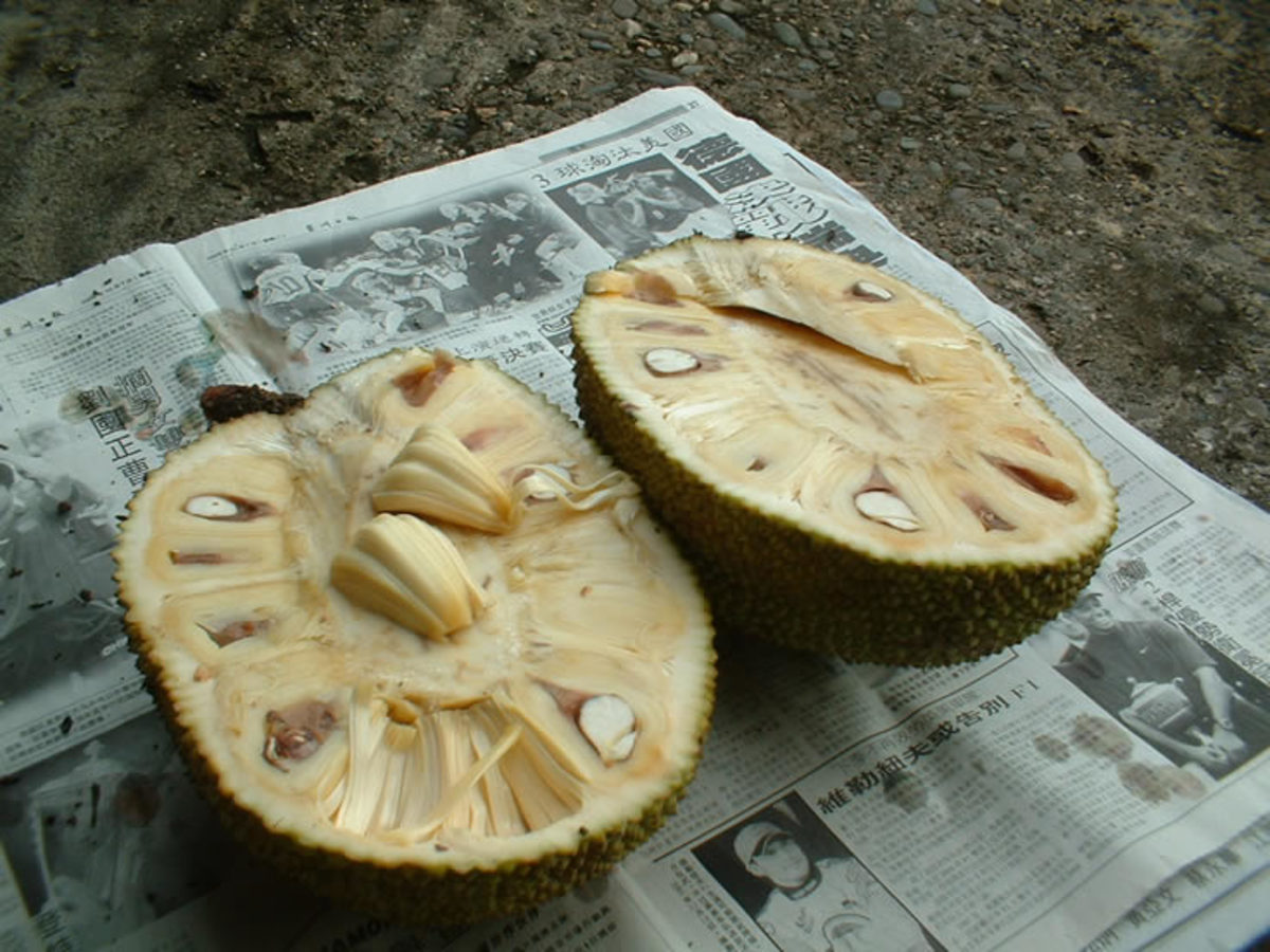 cut jackfruit