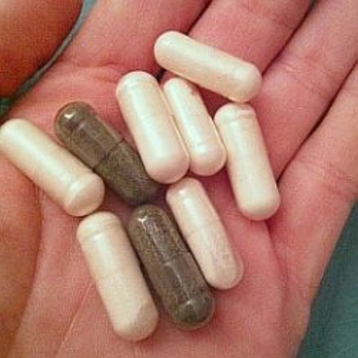 Probiotic Supplements - Photo credit Ashley Steel