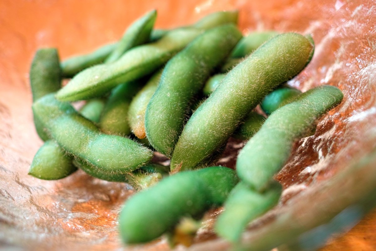 The Top 20 Inexpensive Sources of Protein CalorieBee
