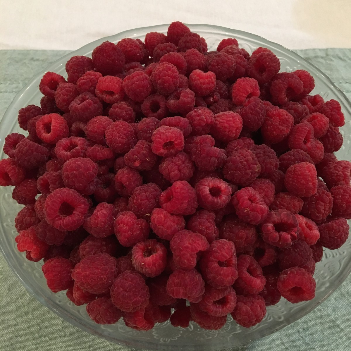Raspberries washed and ready to eat or freeze.