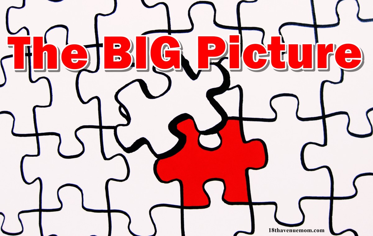 What is the big picture?