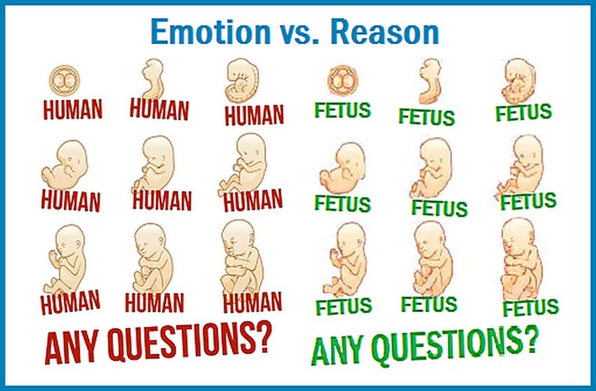 Emotion vs. Reason: Emotions are vital to humans but they should never be substituted for reason. A human fetus and a human being are not the same thing.
