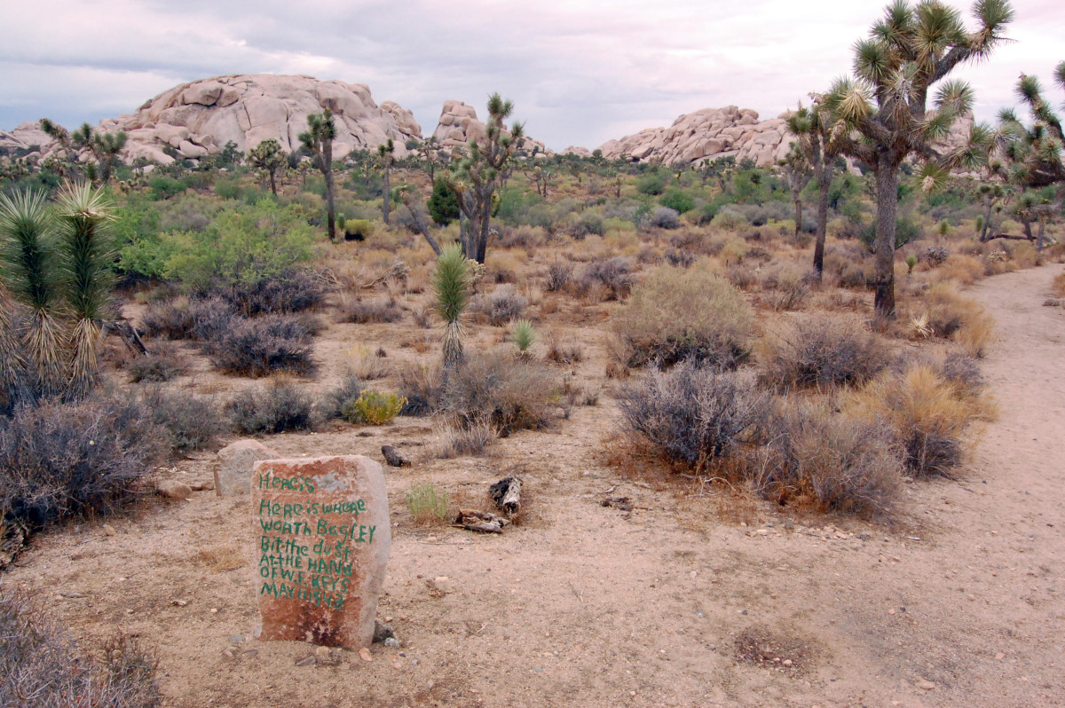 firt-timers-guide-to-joshua-tree