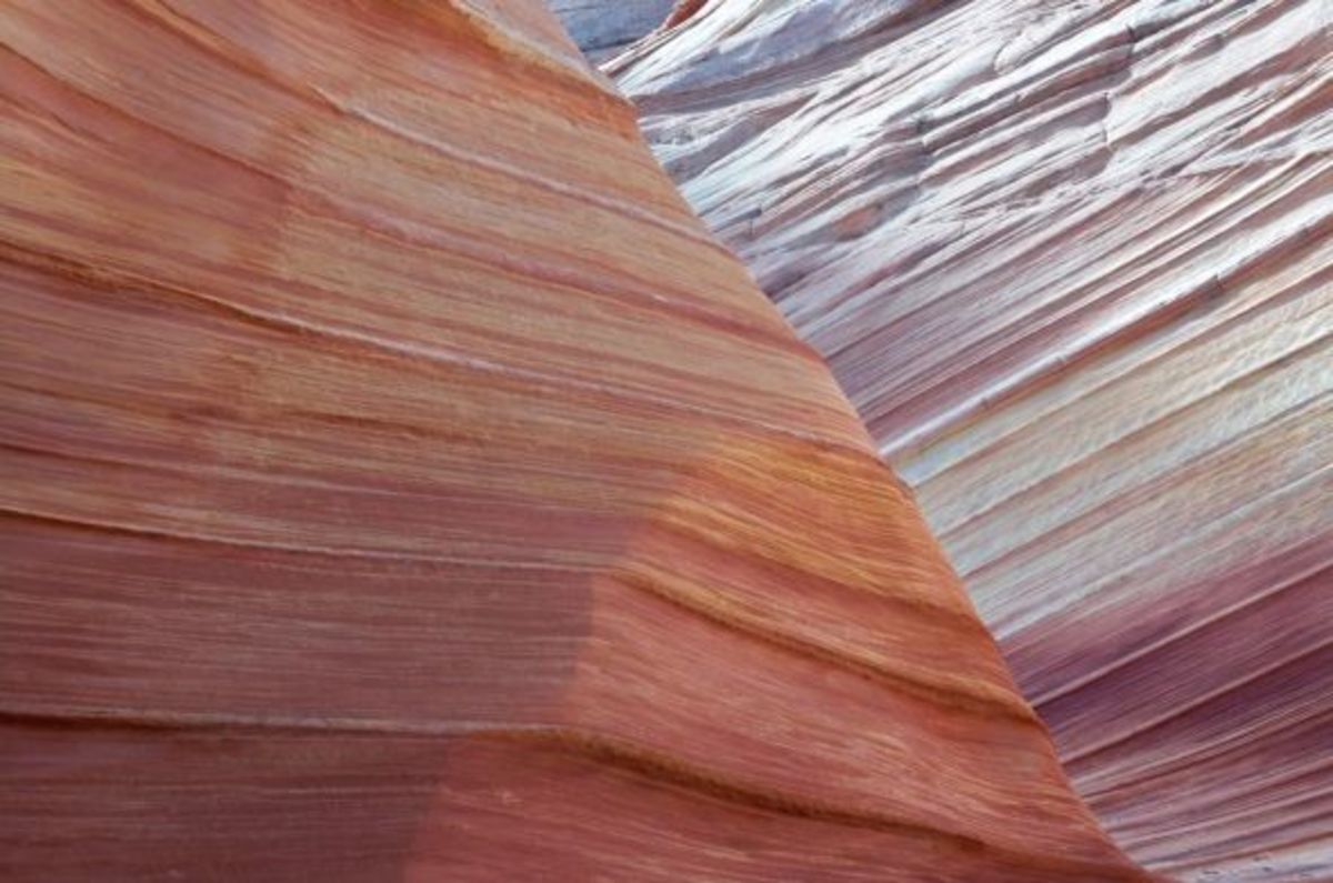 Close up of the Wave—the ultimate “rock art.”