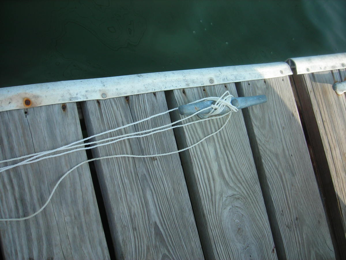 Secure the minnow trap to the dock