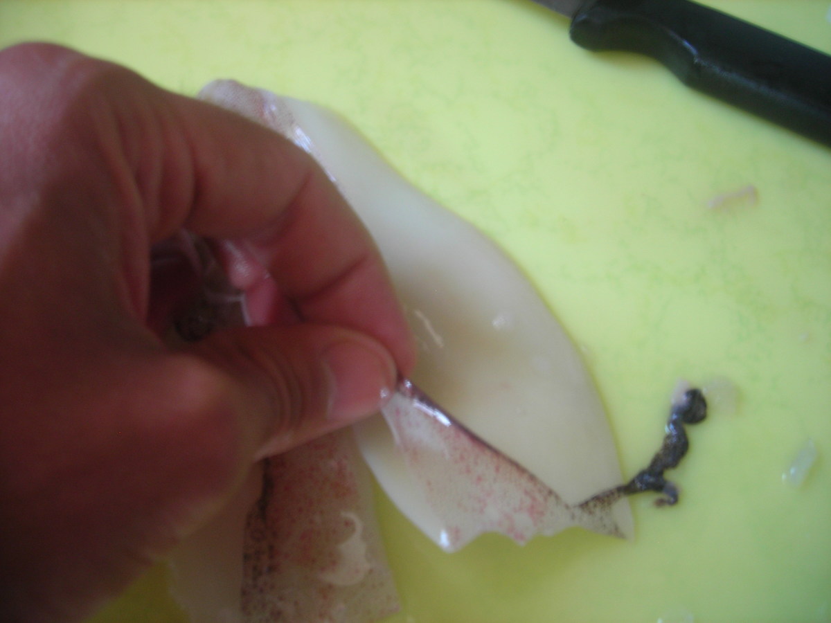 how-to-cut-clean-and-prepare-squid-bait-for-fishing