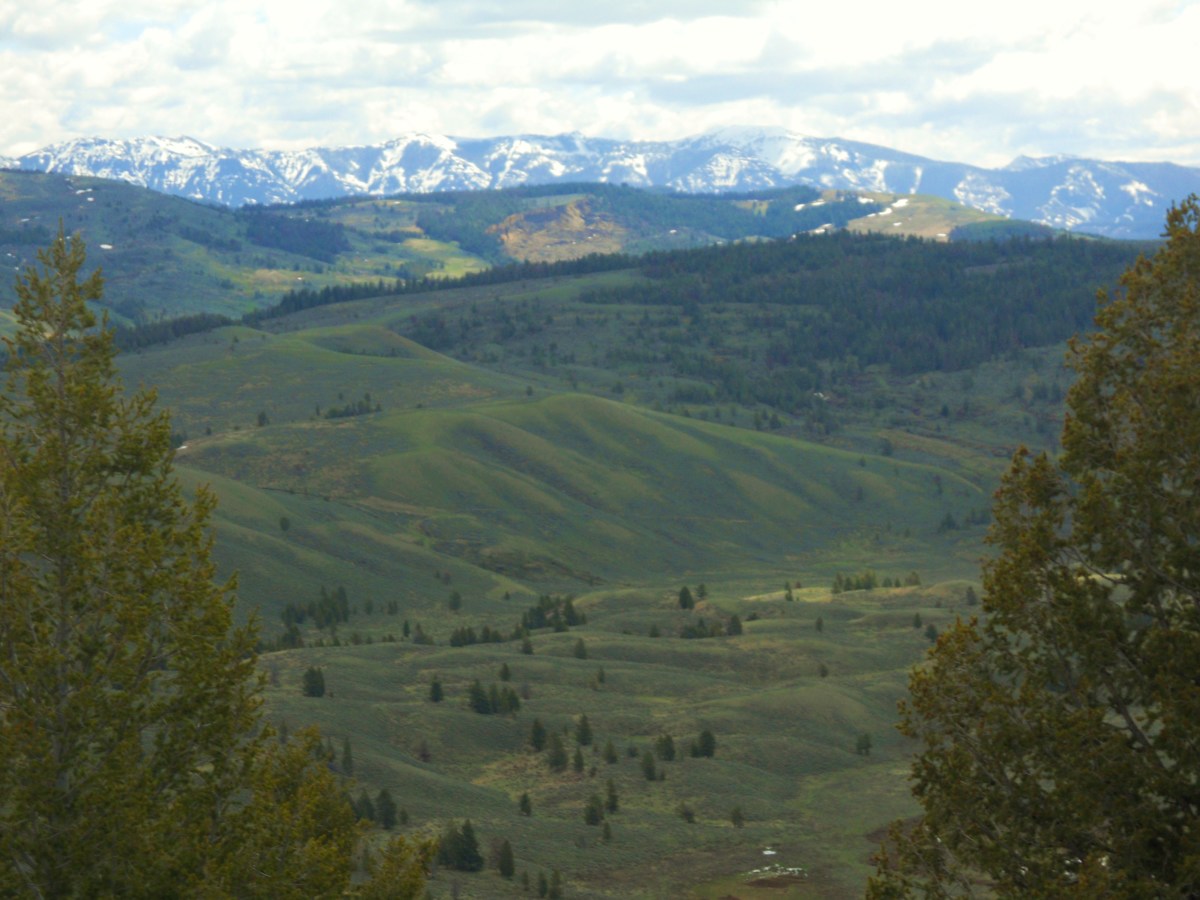 National Forests just beyond Yellowstone National Park