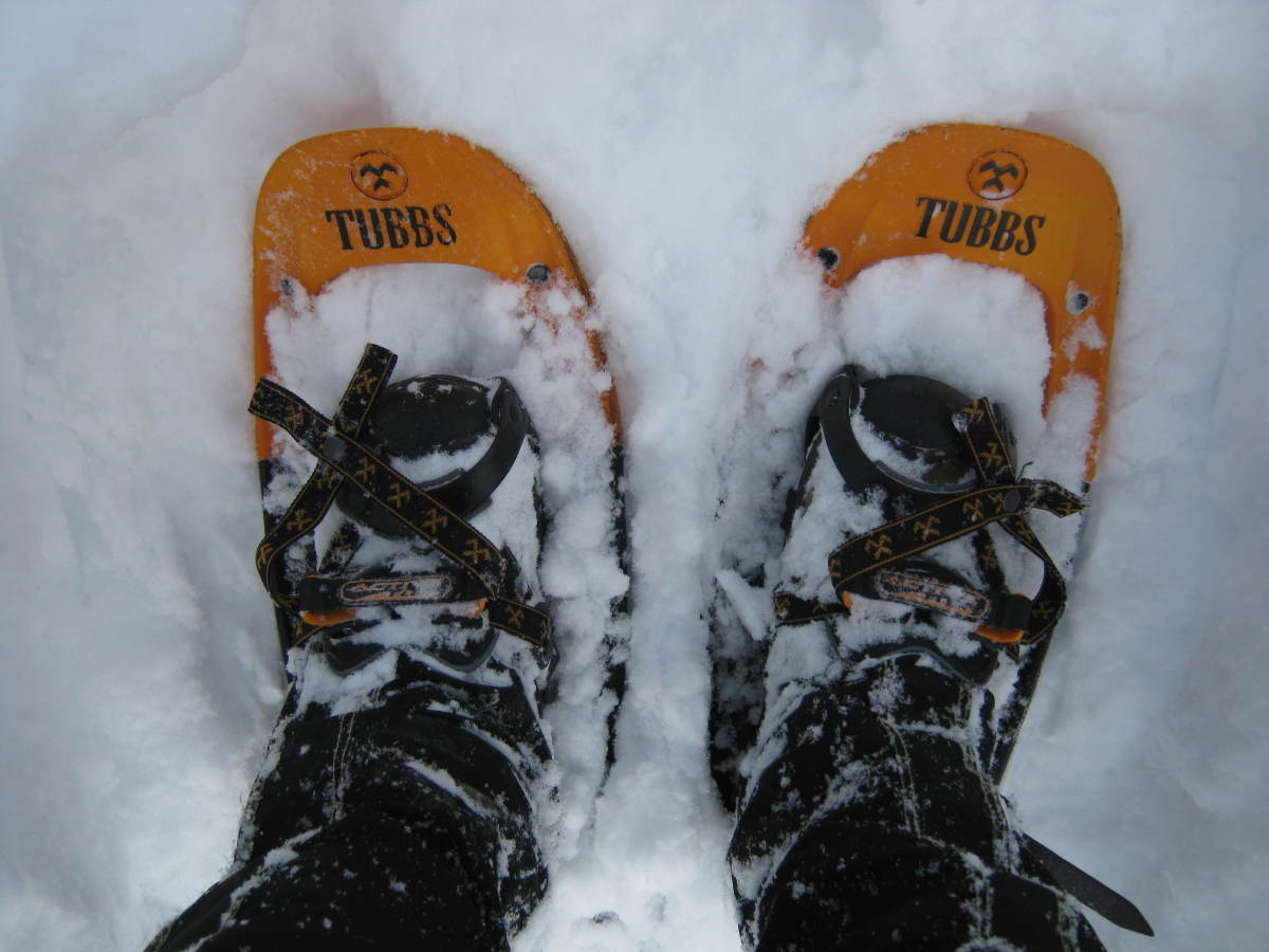 Snowshoes, like the Alps from Tubbs here, are best on the snow and not for crossing narrow log bridges.  