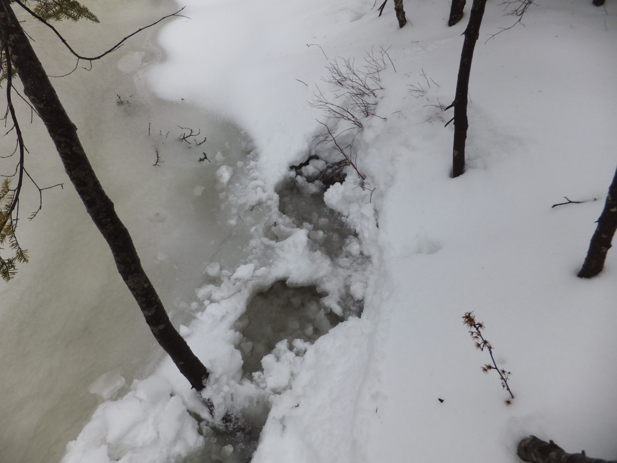 Yep, this was waist deep and the point where I turned around.  