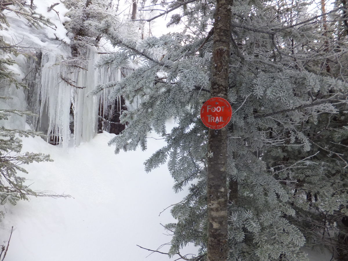 A red trail marker shows the way up this side of Mt. Colden.  
