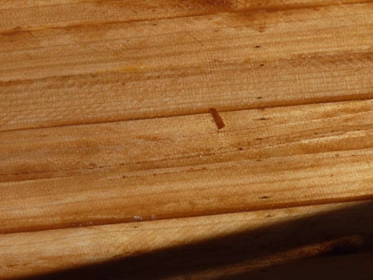 Wood chip buried in the epoxy