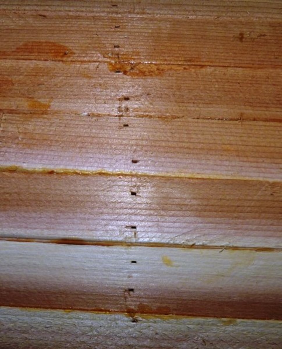 building-a-cedar-strip-canoe-the-details-sanding-and-fiberglassing