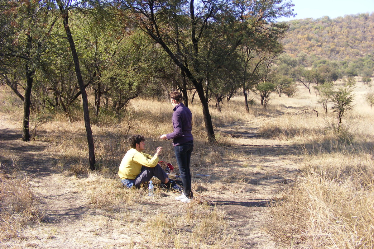 Hiking the Tswaing Meteorite Crater Near Pretoria - HubPages