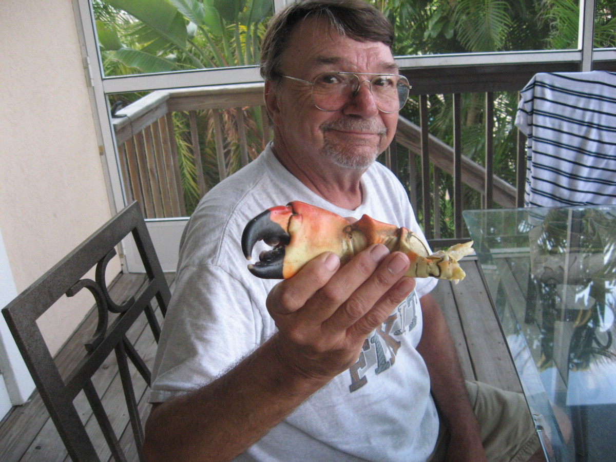 Stone crab season in Florida is October 15-May 15.