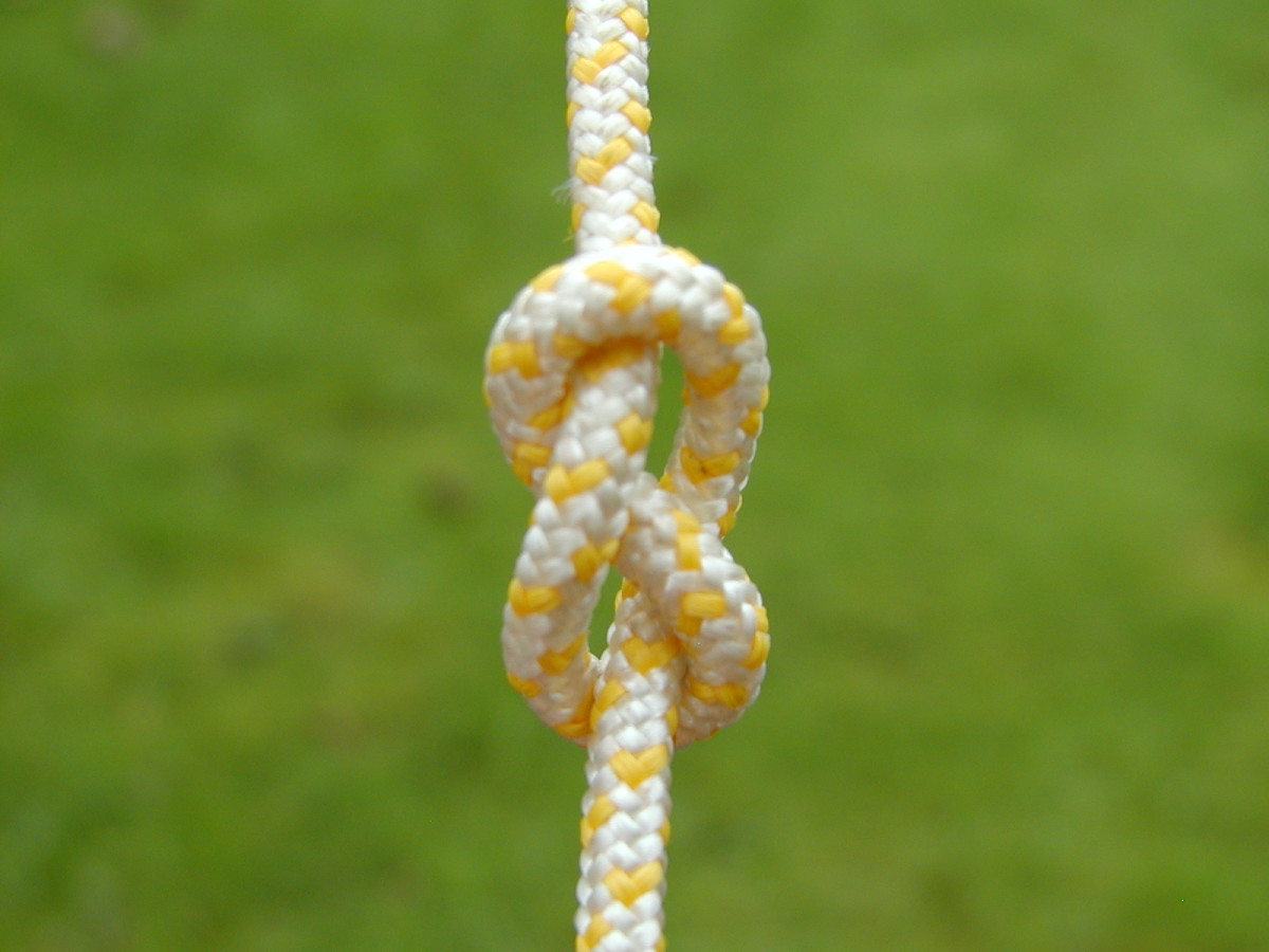 Figure-of-eight knot