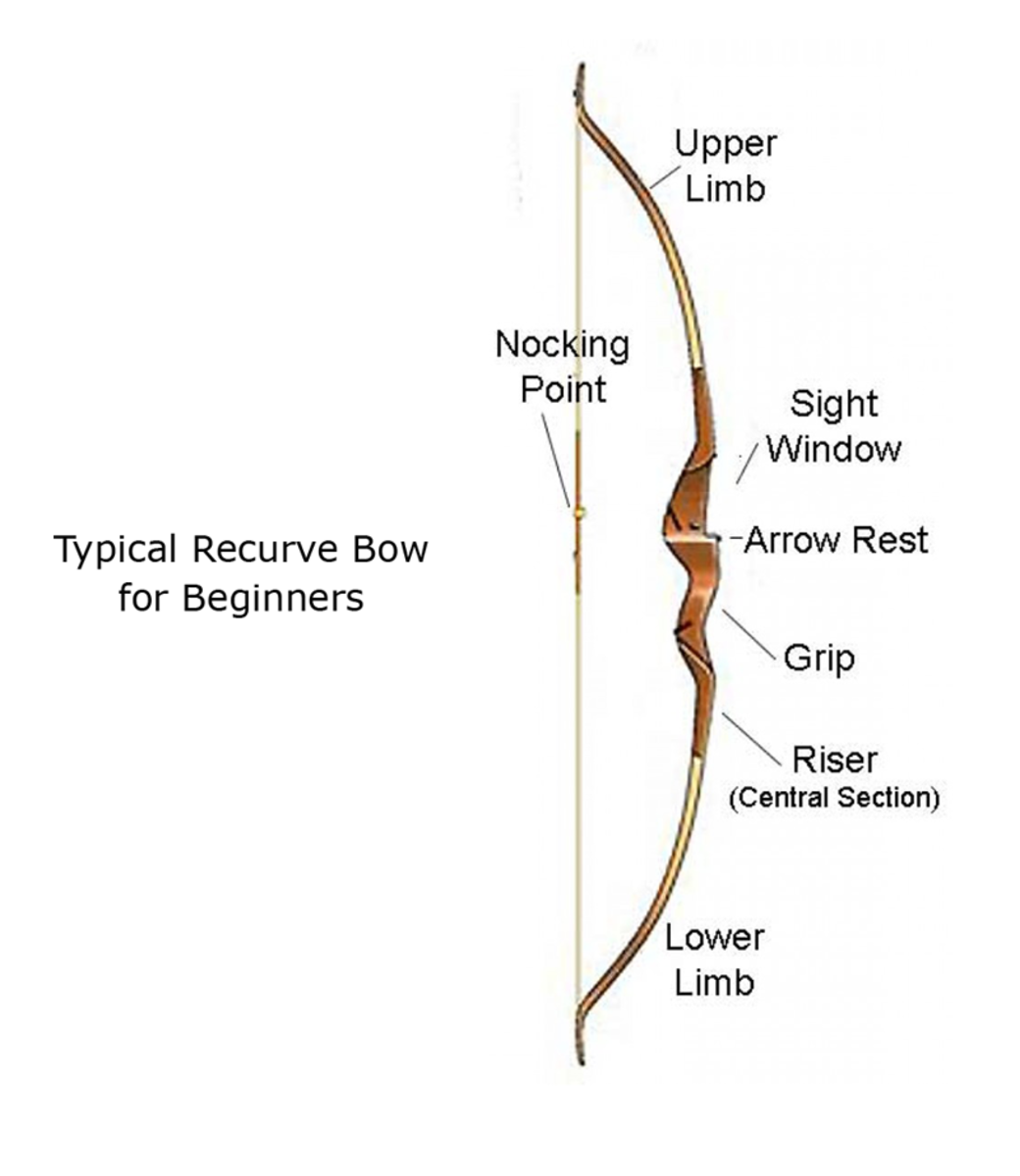 Typical Recurve Bow for Beginners
