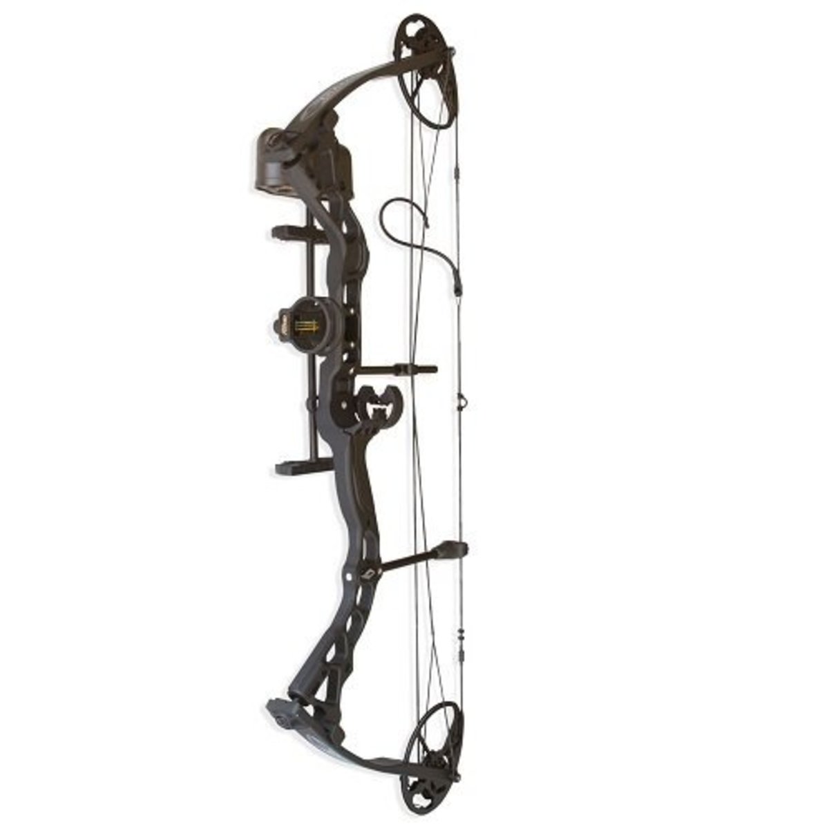 The Best Beginner Bows for Target Archery SkyAboveUs