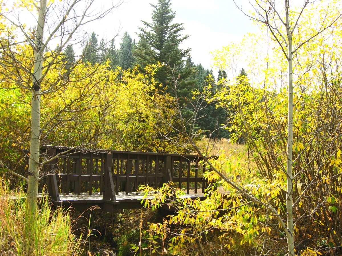 A short paved walk provides several different views of fall color. The walkway would be a perfect short outing for a person who is using a wheelchair.