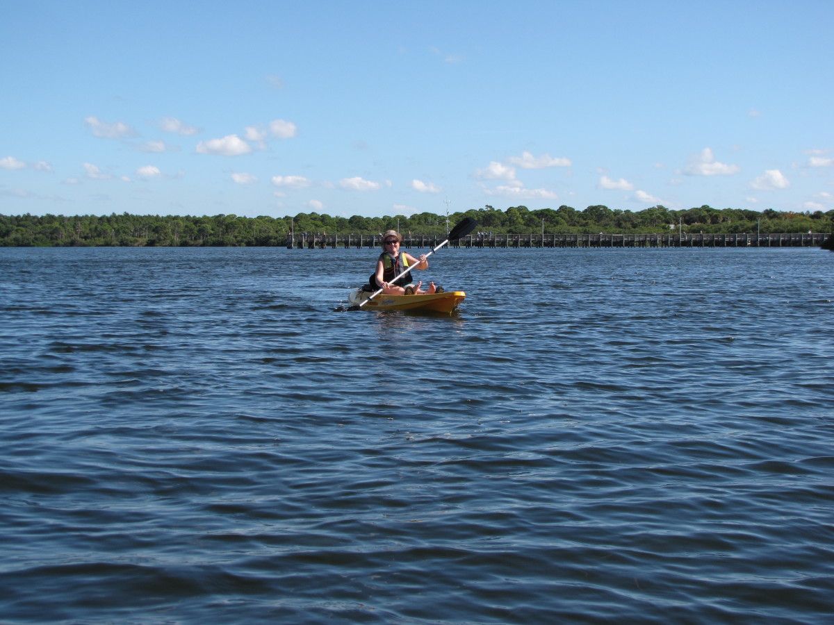 kayaking-the-anclote-river-park-holiday-florida