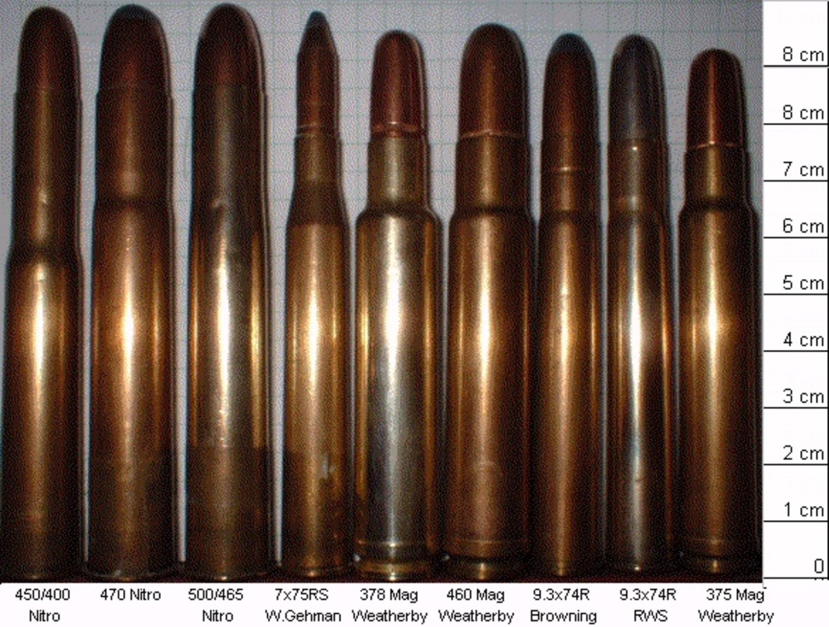 An Assortment of Nitro Express and Magnum Cartridges