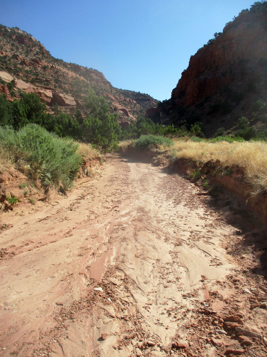 Tom's Canyon is a box canyon, located close to Kanab.