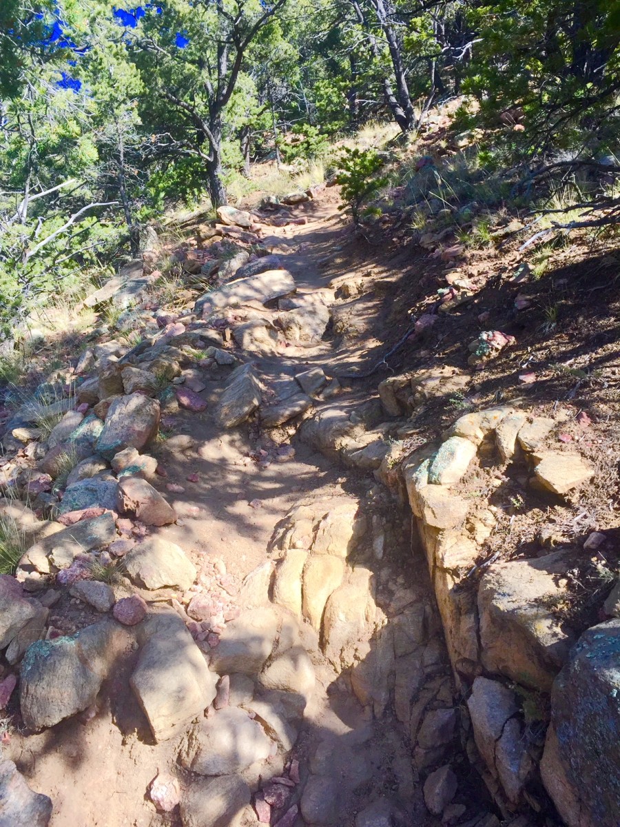 Typical trail
