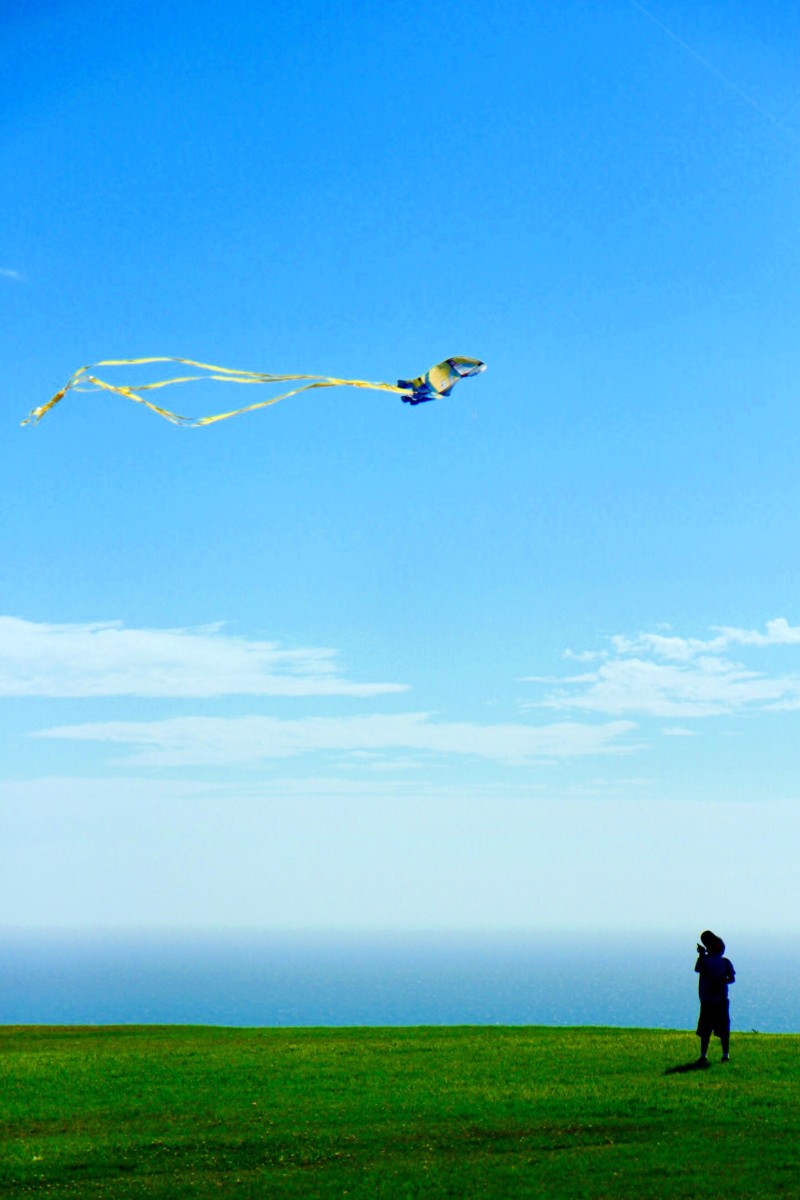 Get in touch with your inner child by flying a kite. (Extra points if you make it yourself!)