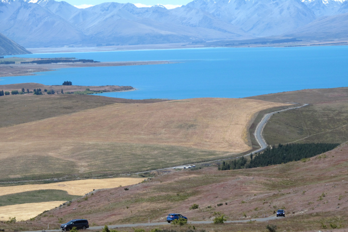 Lake Tekapo as seen from the Mt. John Summit Circuit track.  