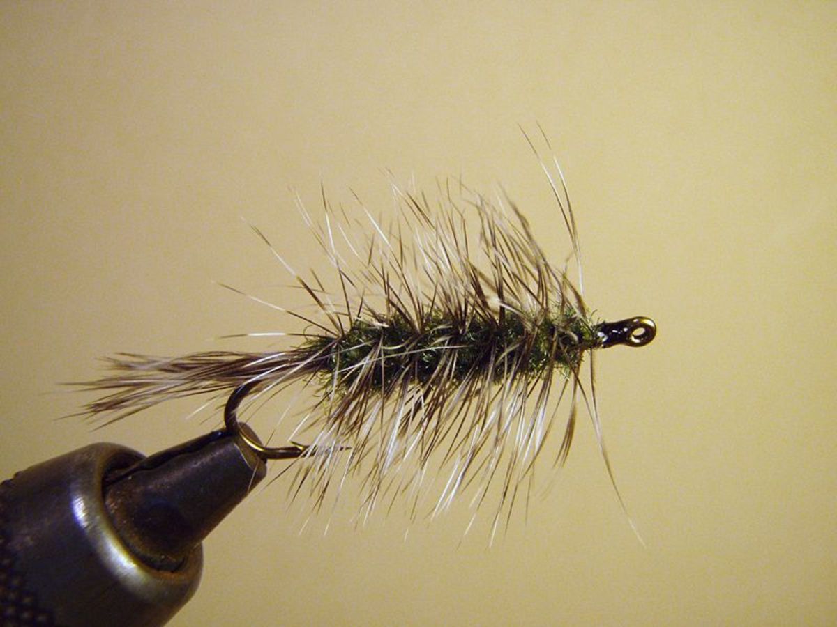 When it comes to carp flies, simple is often the best. The tried-and-true Wooly Worm is about as good as it gets.