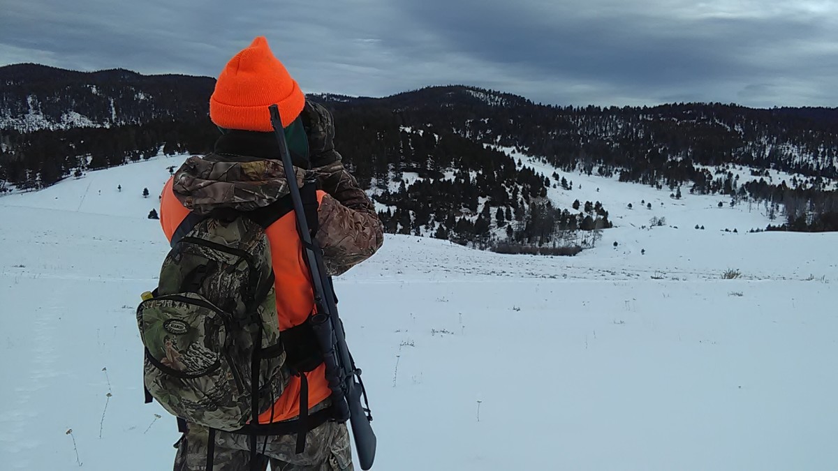 The Best Mule Deer Caliber, Gear, Tactics, and More SkyAboveUs