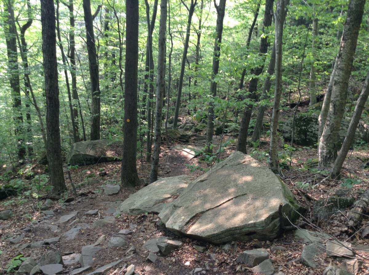 Catskill Hike: Slide Mountain - HubPages