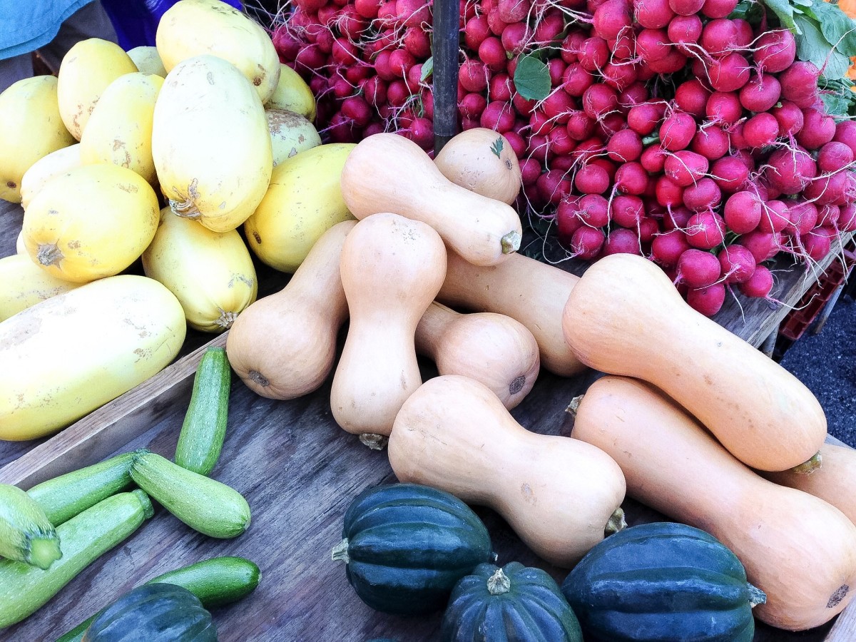 Radishes and squash at a farmers market