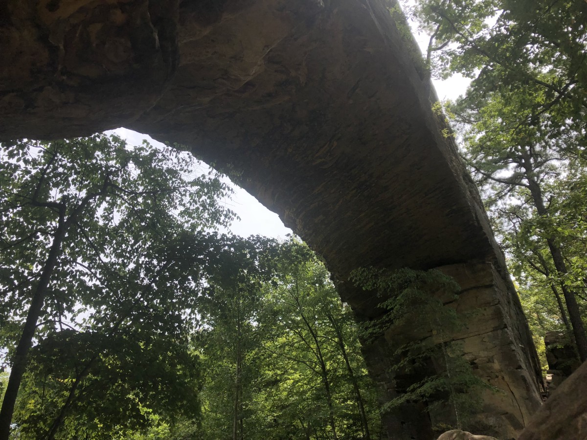 Another angle of the Natural bridge in the Red River Gorge and Geological Area in Daniel Boone National Forest.  