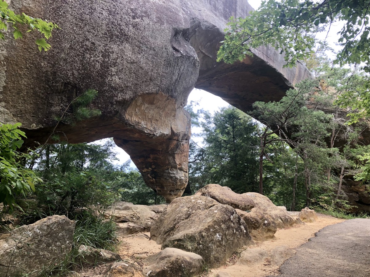 This may be one of my favorite views of the Natural Bridge.