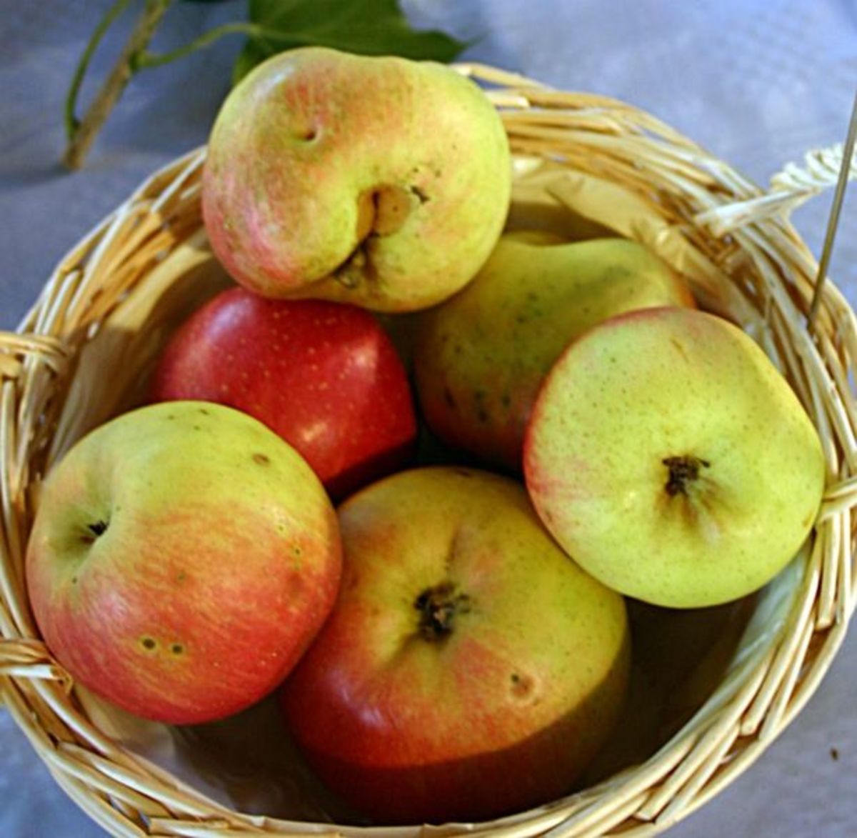 Health Benefits of Red Apples - CalorieBee