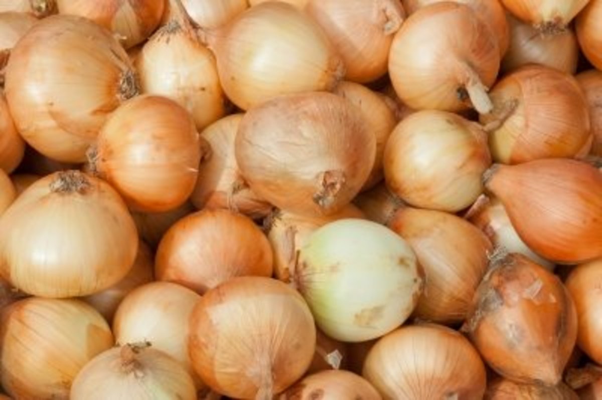 The Benefits of Eating Raw Onions Every Day - CalorieBee