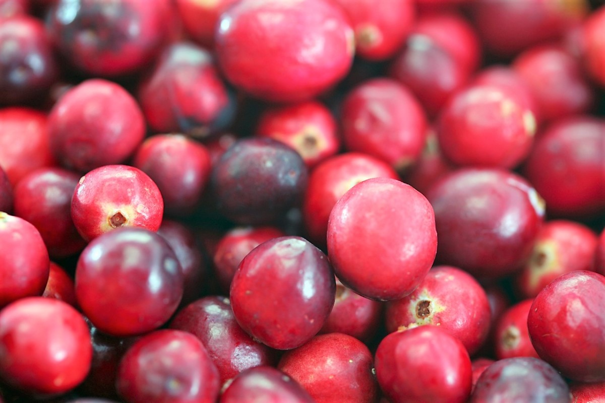 Cranberries are a significant source of benzoic acid.