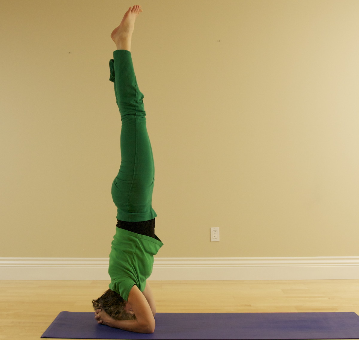 Press the hands and elbows into the floor and lift the chest out of the shoulders, engage the abdominals to lift the hips away from the ribs, hold the thighs together and lift them toward the ceiling, and relax the feet.  Hold the position.  Breathe.