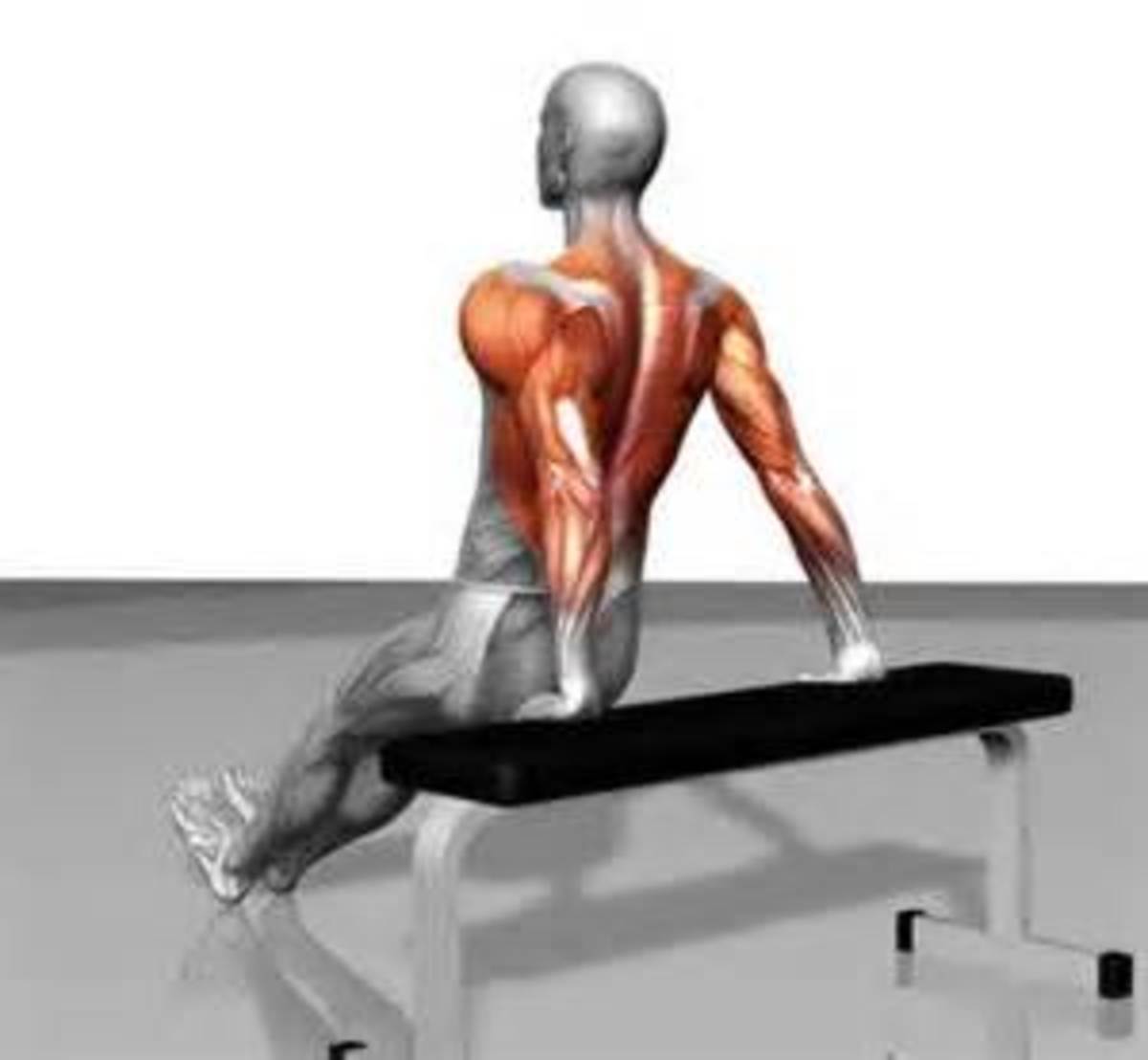 The seated dip exercise