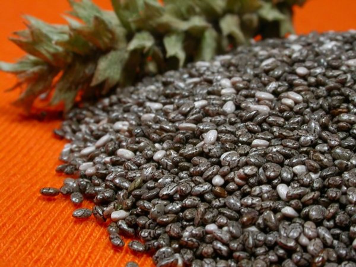 Raw, organic Chia seeds with USDA Certification offer much better value for money than processed, ready to drink or eat products.